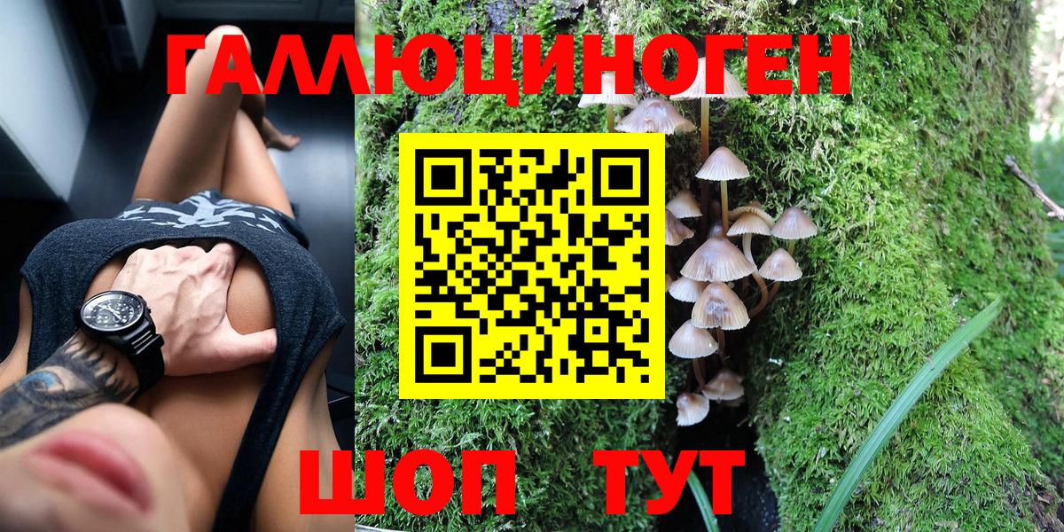 Псилоцибиновые грибы ЛСД Карачаевск