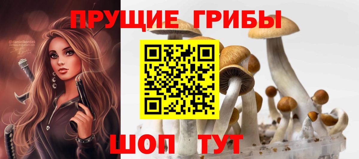 Псилоцибиновые грибы Psilocybine cubensis  Псилоцибиновые грибы прущие грибы  Вход с VPN  Карачаевск 